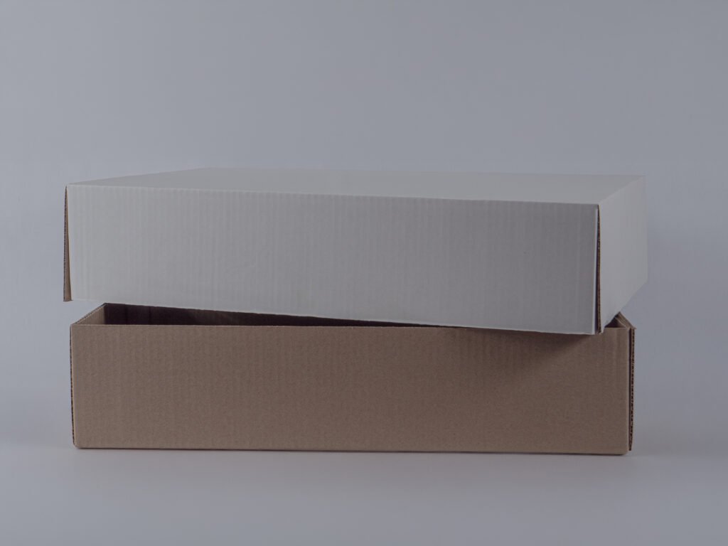 Caja Master - 10 kg Pegada Maquina - Embalajes 24/7
